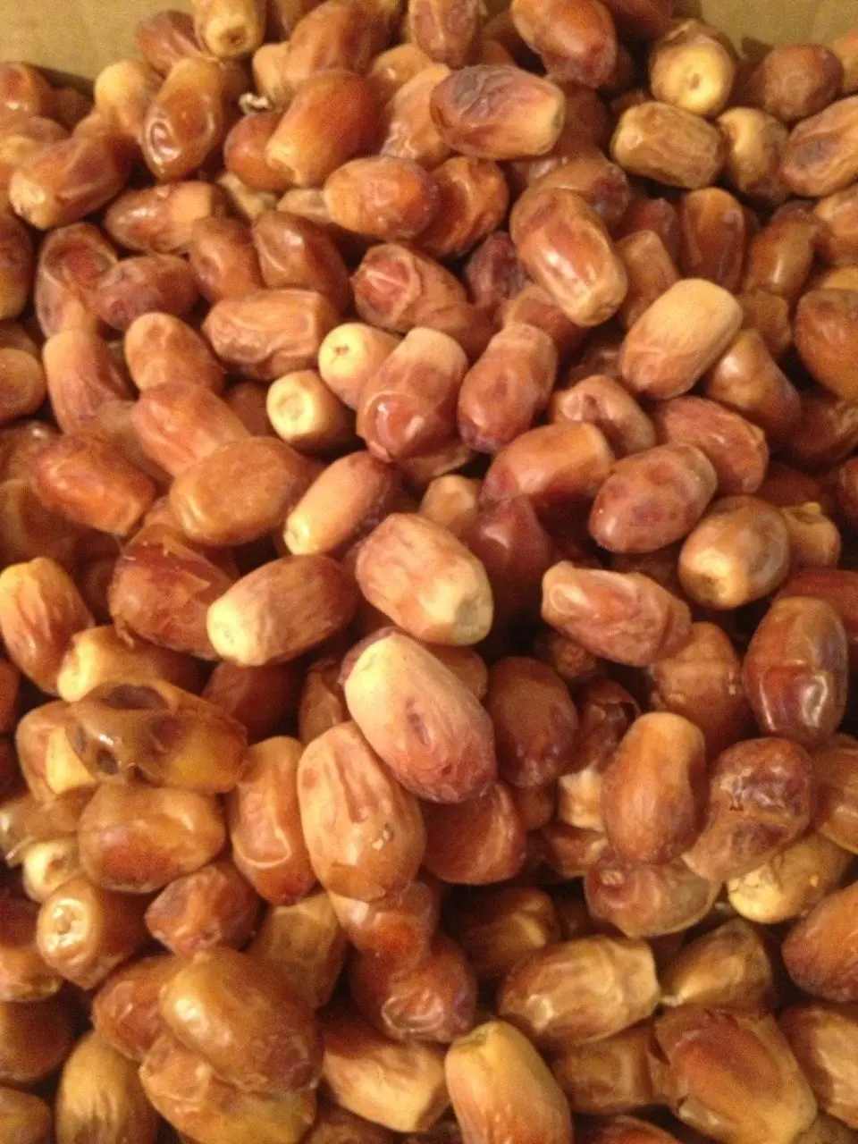 خواص شگفت‌انگیز خرمای زاهدی