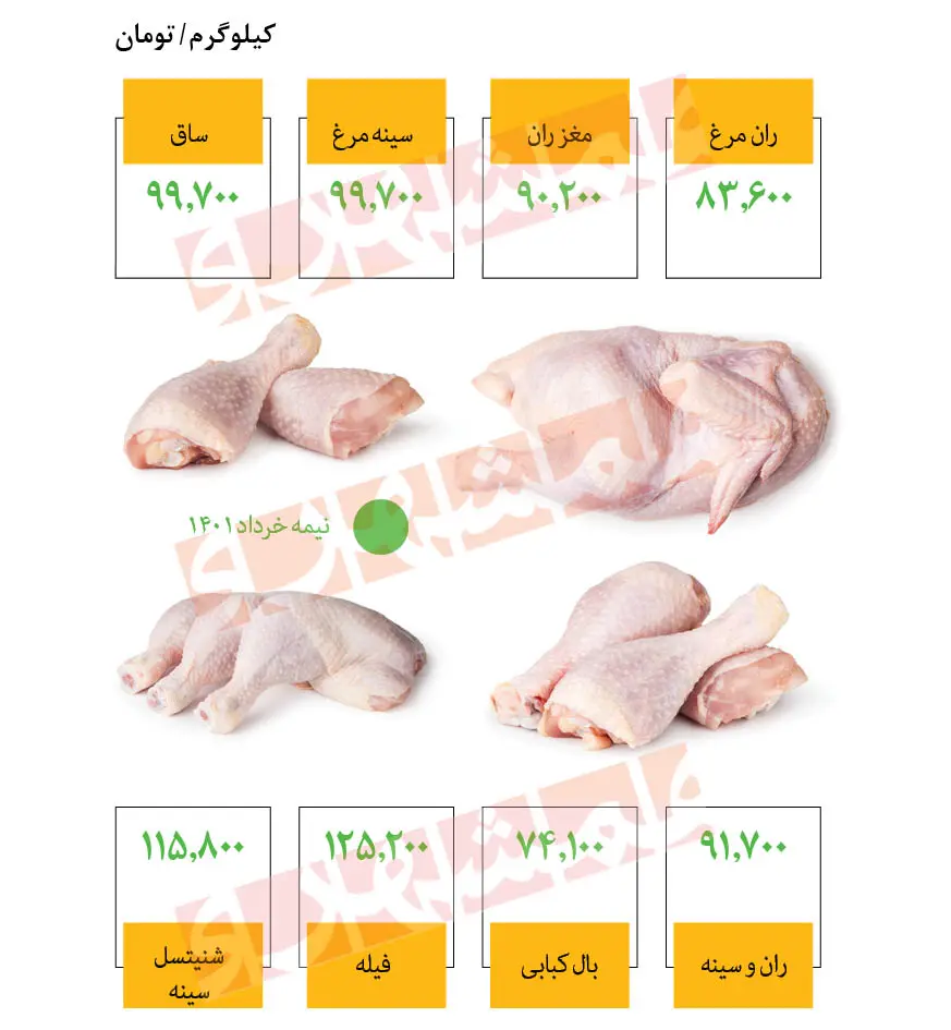 قیمت مرغ