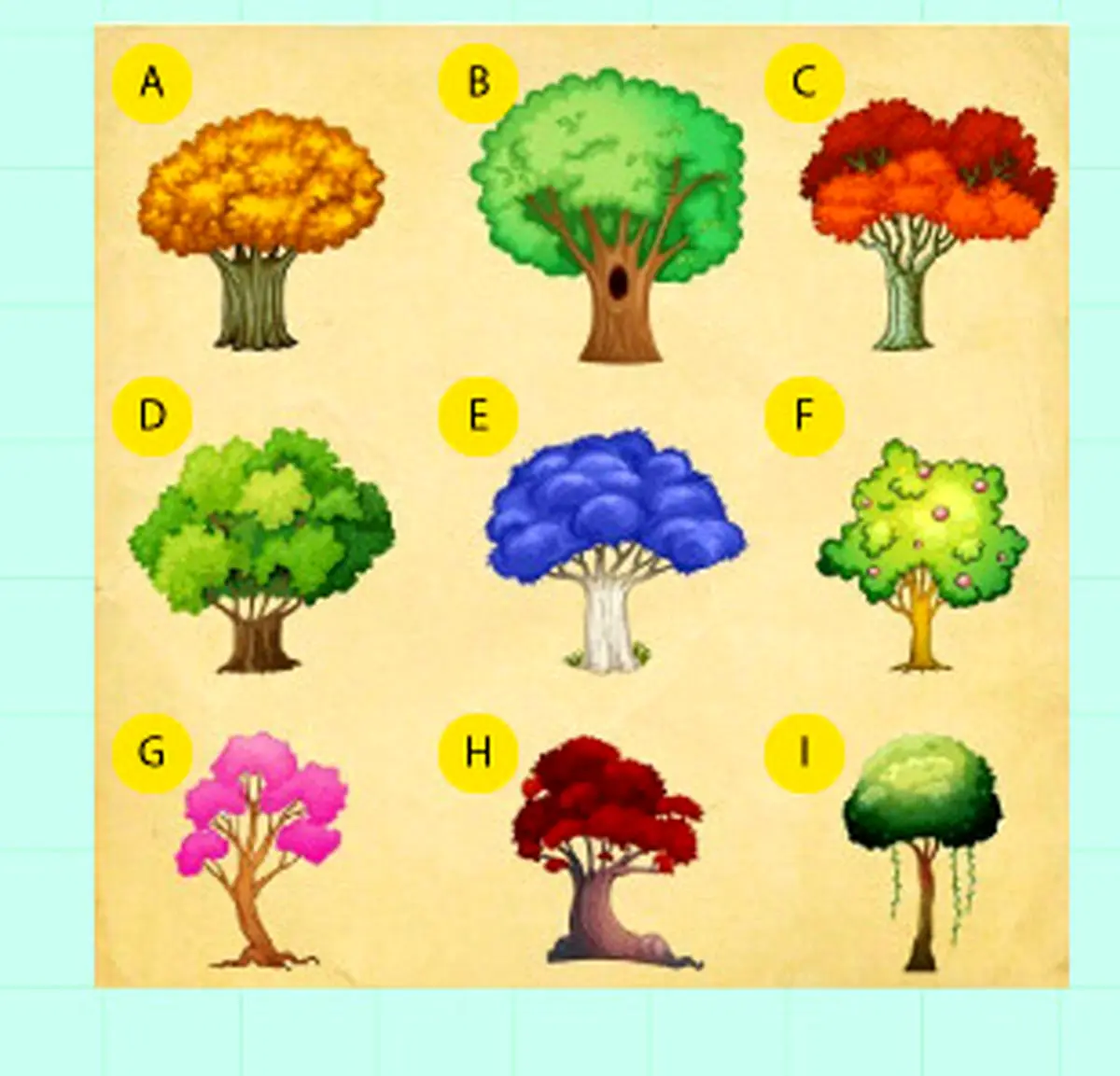 یکی از درخت هارو انتخاب کن تا بهت بگم دنیارو چه جوری میبینی | تست شخصیت شناسی