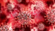 هشدار: علائم ویروس جدید کرونا چیست؟ | آمار مرگ و میر کرونا اریس دو برابر کوید19!!