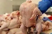 آخرین جزئیات پیش بینی قیمت مرغ فردا 8 اردیبهشت | افزایش قیمت مرغ تازه از فردا اول هفته!