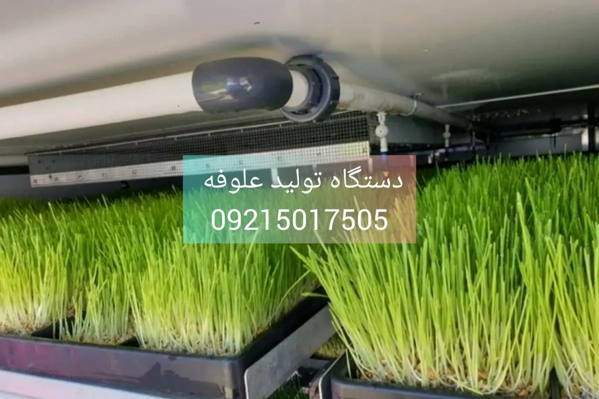 علوفه هیدروپونیک کشت آموزش تولید+ ساخت دستگاه