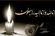 اعلام عزای عمومی در شادگان  | خوزستان عزادار شد