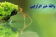 دعا برای افزایش رزق و روزی | اگه این دعا رو هر صبح بخونی معجزه می کنه!