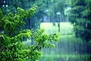 تعبیر خواب باران | دیدن خواب باران به چه معناست؟