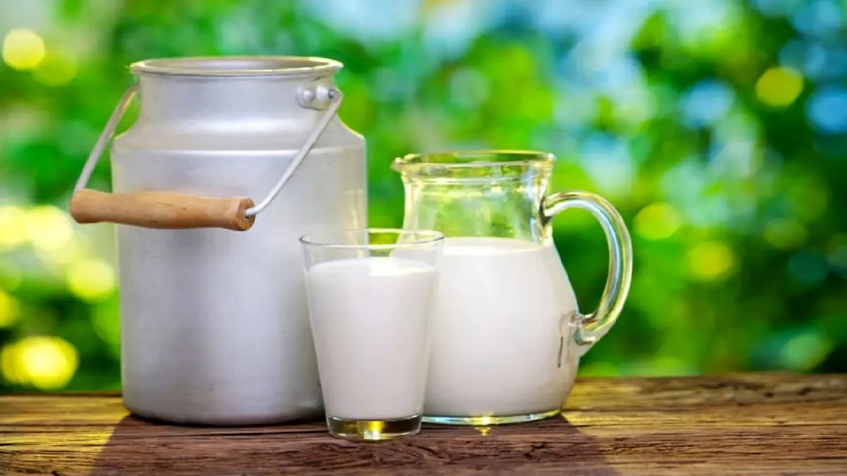 فواید نوشیدن شیر گرم در مقابل شیر سرد