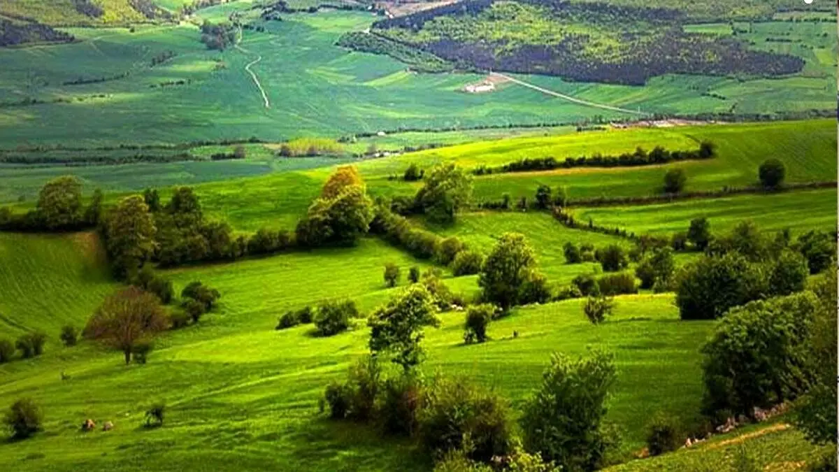 افشا زمین‌خواری مربی سرشناس لیگ برتری