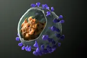 ویروس زامبی 50 هزار ساله بیدار شد! | خبر وحشتناکی که محققان منتشر کردند!