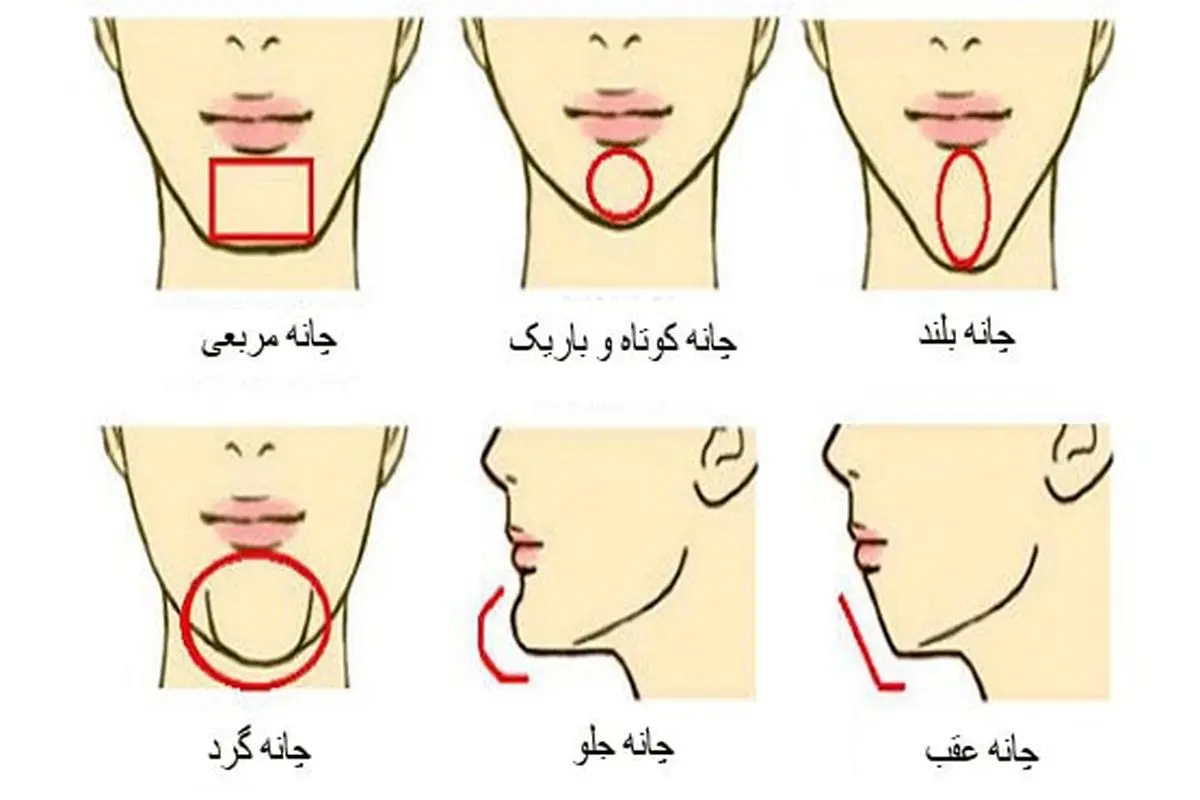 ببین فرم چونه ات چه شکلیه تا بهت بگم چقدر پرخاشگری | تست شخصیت شناسی