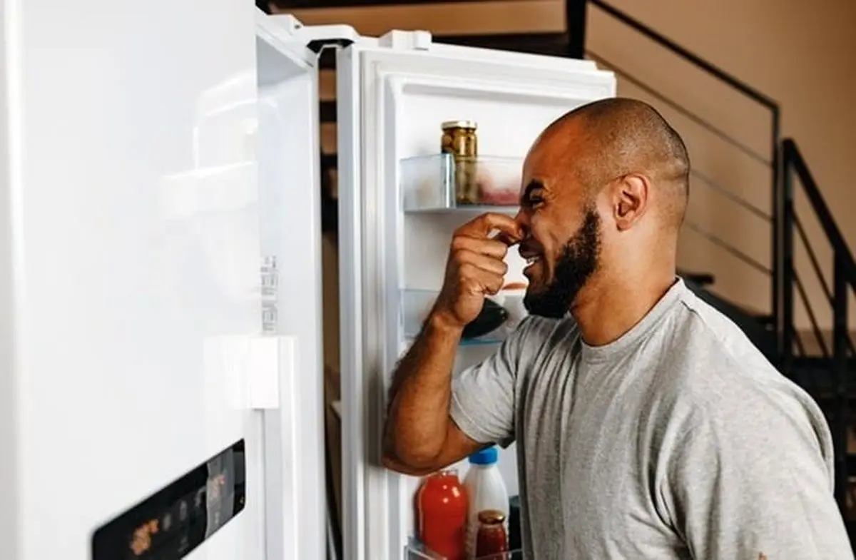یخچال خونه شما هم بوی زننده میده! | احتمالا یخچالتون دچار مشکل شده؟!