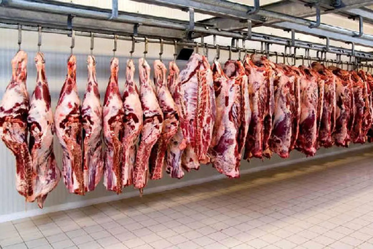 قیمت گوشت امروز 9 اسفند | قیمت گوشت کیلویی چند؟