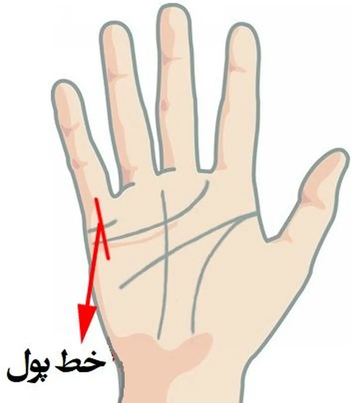  خط ثروت دست تو ببین تا بگم تو آیندت چقدر پولدار میشی | تست شخصیت شناسی