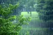 بارش باران شدید در برخی نقاط مشهد دقایقی پیش | ویدئو