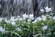 هشدار زرد فعالیت سامانه بارشی تا پنجشنبه! | این استان ها این روزها بارش شدید باران را تجربه میکنند!