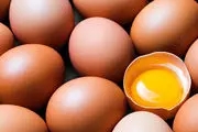 اگه بدونید مصرف روزانه تخم مرغ چقدر مفیده؟ | مصرف تخم مرغ بدنتون رو حسابی شارژ میکنه!
