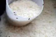 فرمول جادویی برای اینکه برنج شپشک نزنه | ترفند ساده و کاربردی نگهداری از برنج برای مدت طولانی