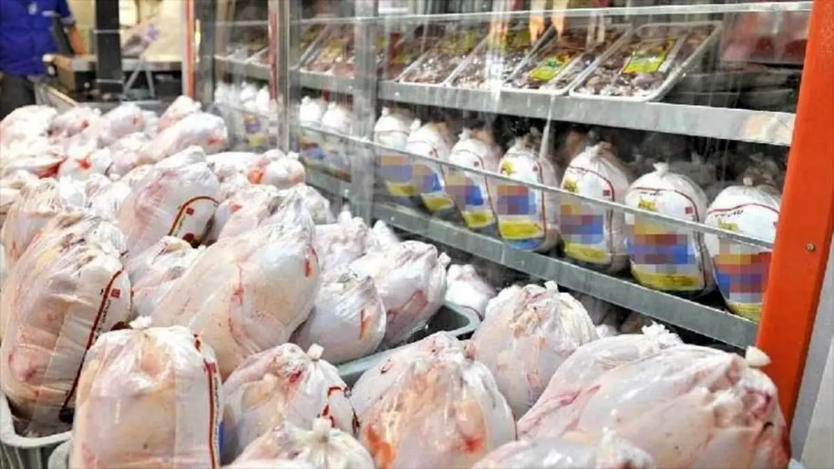 ریزش شدید قیمت مرغ در بازار | مرغ گرم کیلویی چند؟