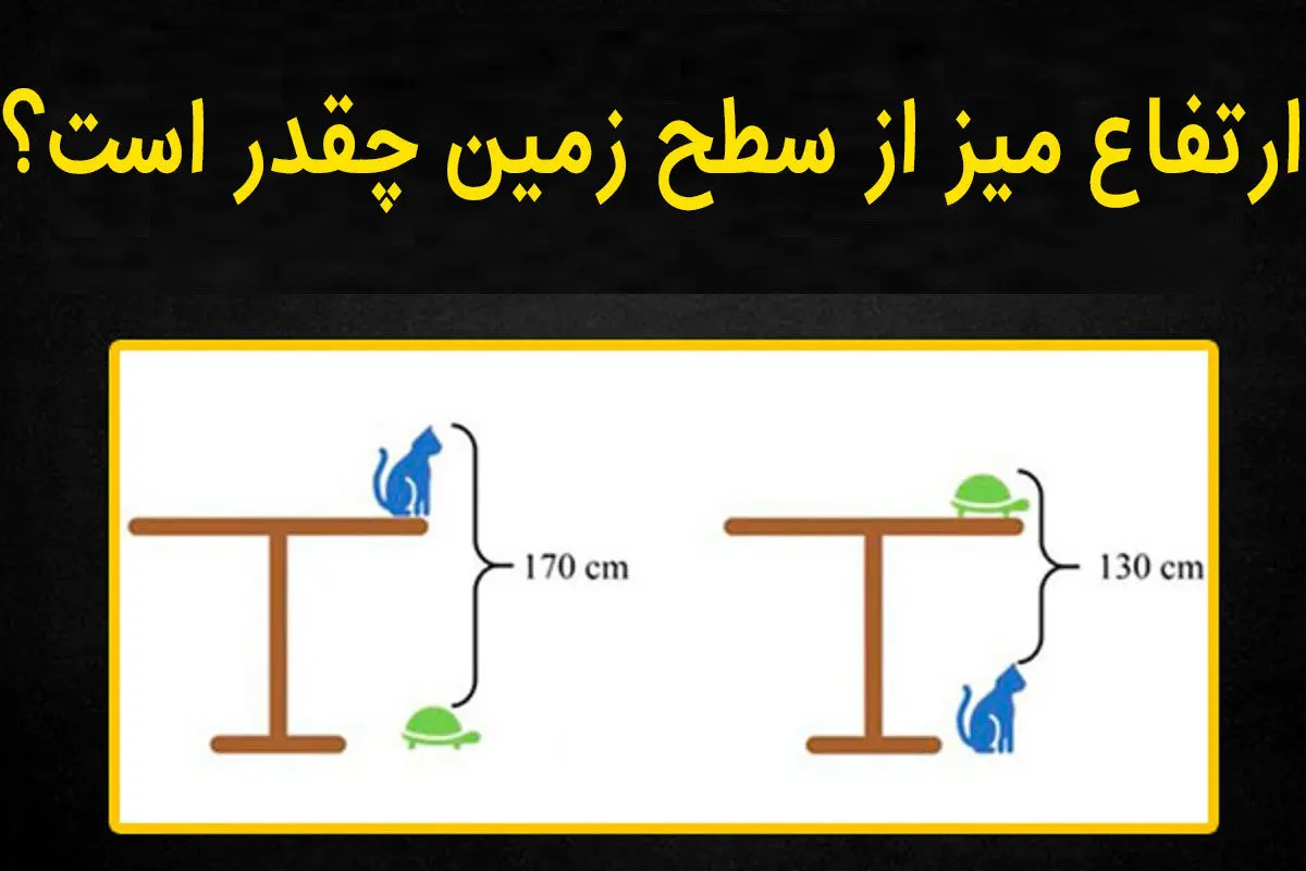 فقط نابغه ها تونستن جواب این سوال و بدن | تست هوش