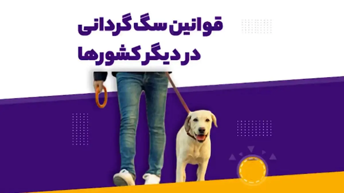 نگاهی به قوانین سگ‌گردانی در کشورهای مختلف جهان + ویدئو