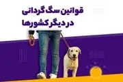 نگاهی به قوانین سگ‌گردانی در کشورهای مختلف جهان + ویدئو